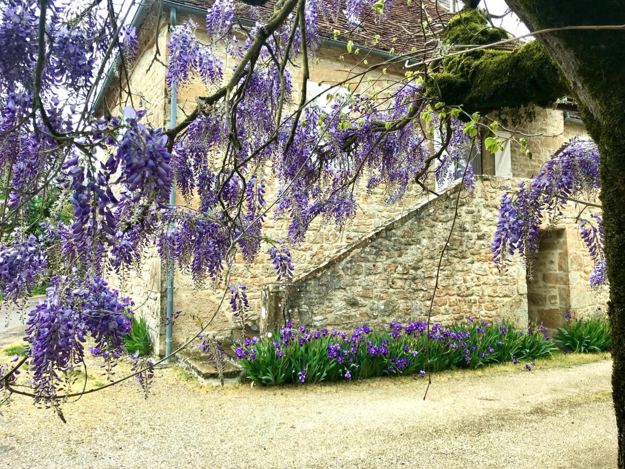 루브레삭 Manoir De Rieuzal B&B 외부 사진