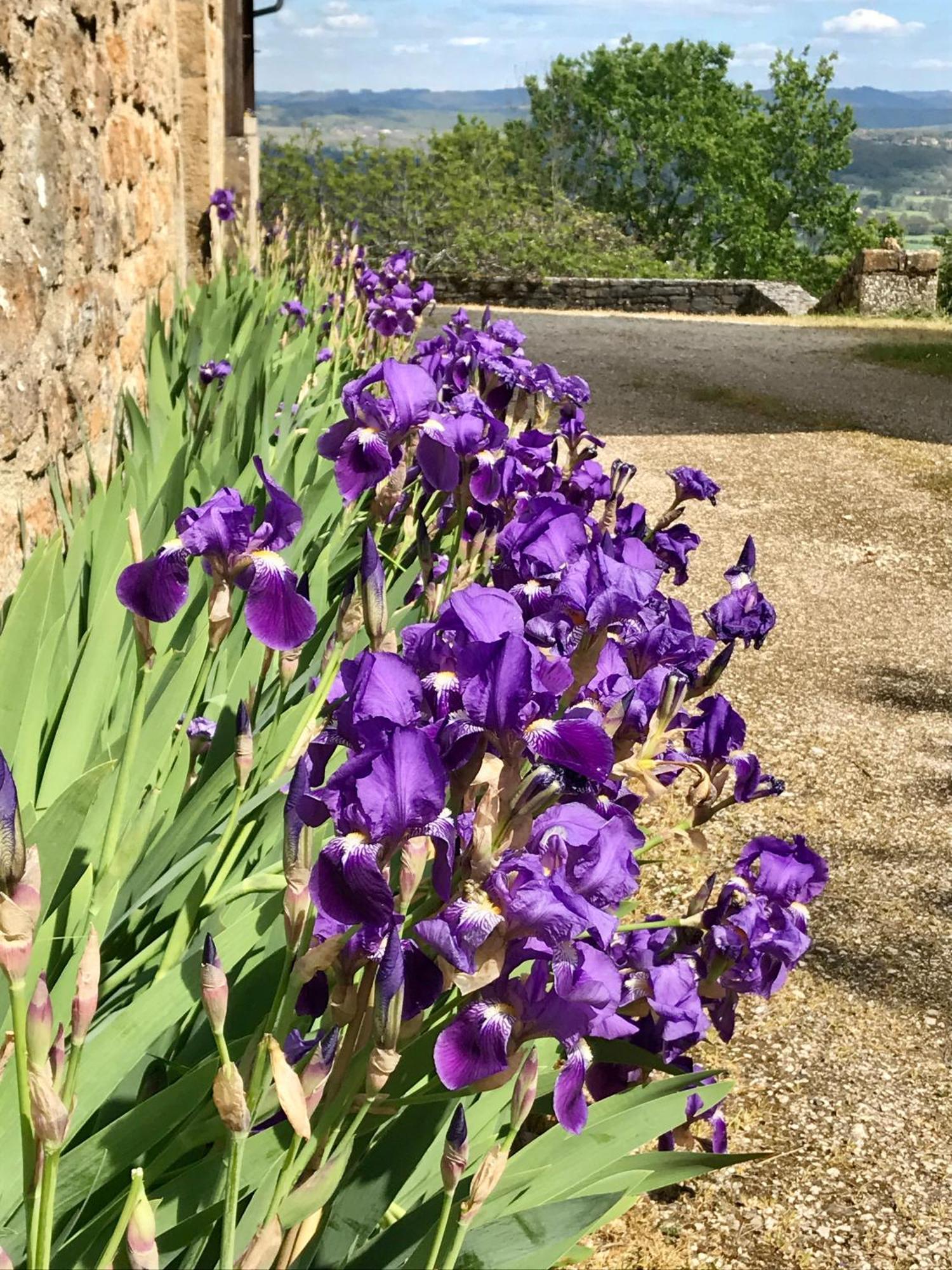 루브레삭 Manoir De Rieuzal B&B 외부 사진
