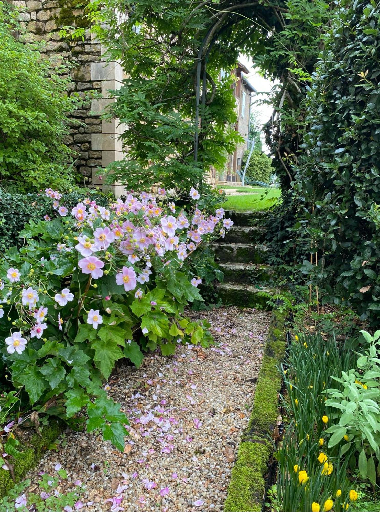 루브레삭 Manoir De Rieuzal B&B 외부 사진