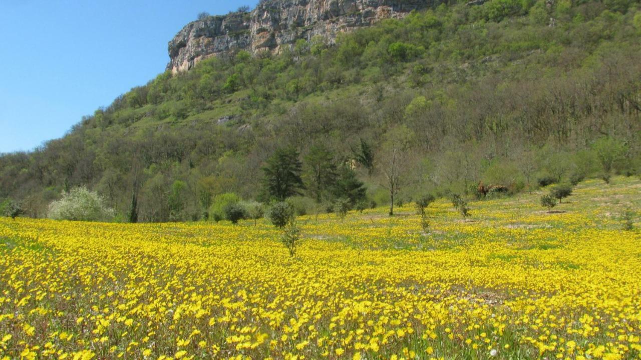 루브레삭 Manoir De Rieuzal B&B 외부 사진